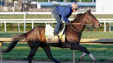 Belmont Stakes: Ocelli se baja de la tercera gema estadounidense por estos detalles Belmont Stakes: Ocelli se baja de la tercera gema estadounidense por estos detalles