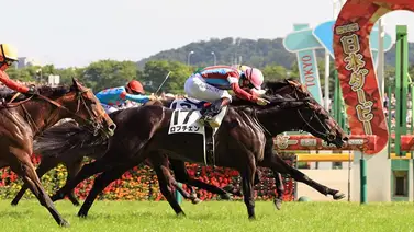 De infarto a una para la hazaña: Lovcen alcanza la Tokyo Yushun (Japanese Derby) (G1) en Tokyo De infarto a una para la hazaña: Lovcen alcanza la Tokyo Yushun (Japanese Derby) (G1) en Tokyo