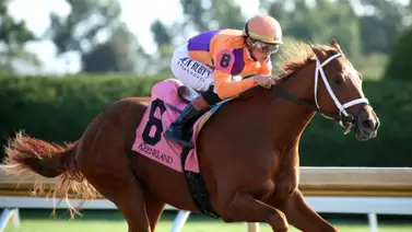 Further Ado regresa este domingo por los $500,000 del Matt Winn Stakes (G3) Further Ado regresa este domingo por los $500,000 del Matt Winn Stakes (G3)