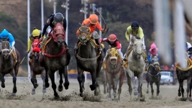 Resultados de las carreras de La Rinconada (01/04/2018)