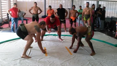 Aragua será sede del Chequeo Nacional de Sumo