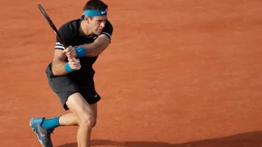 Del Potro gana al francés Mahut
