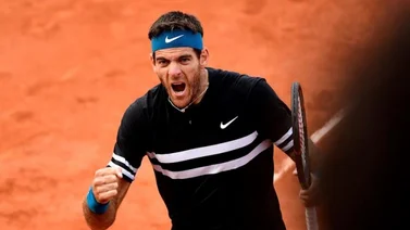 Del Potro: "Schwartzman hará correr a Nadal"