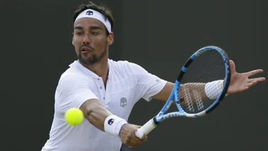 Fognini primer finalista en Bastad tras vencer a Verdasco