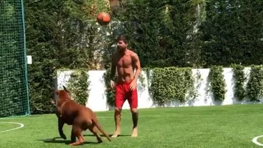Messi no para y se divierte jugando con su perro Hulk (+Video)