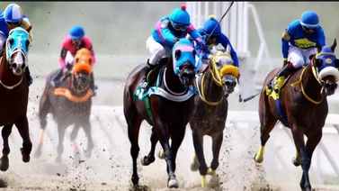 Resultados de las Carreras de la Rinconada 03-02-2019