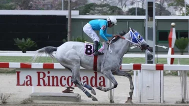 Resultados de las carreras del domingo 12 de mayo en La Rinconada