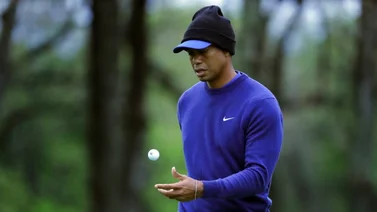 Demanda culpa a Tiger Woods por muerte de chofer ebrio