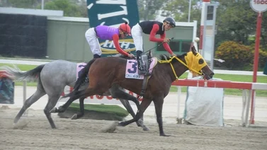 Resultados de las carreras del viernes 31 de mayo en La Rinconada