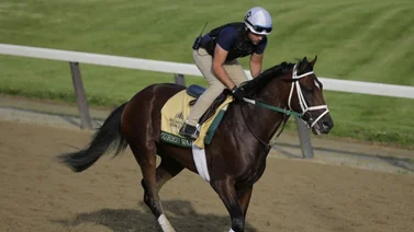 Belmont pondrá fin a una entretenida Triple Corona