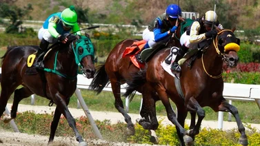 Resultados de las carreras del sábado 8 de junio en La Rinconada