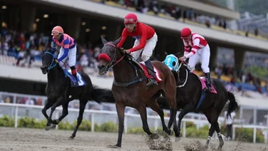 Resultados de las carreras del domingo 23 de junio en La Rinconada