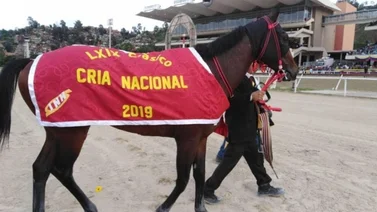 Gran Omero ratificó su categoría con "Rey" Yánez