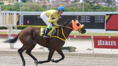 Luis Fontes Jr deja su huella en la hípica nacional