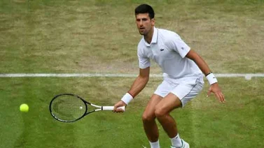 Djokovic avanzó a semis tras superar a Goffin