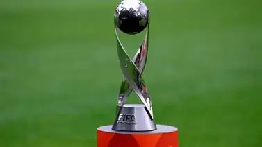 Brasil define sus estadios para albergar el Mundial Sub-17 Brasil define sus estadios para albergar el Mundial Sub-17