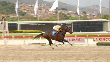 Resultados de las carreras La Rinconada del sábado 27