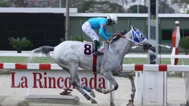 Estos son los resultados de las carreras de este sábado en La Rinconada