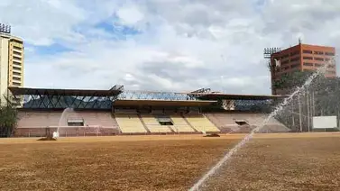 Inicia siembra de grama en el Misael Delgado Inicia siembra de grama en el Misael Delgado