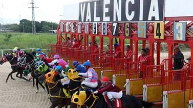Resultados de las carreras del 1 de noviembre en Valencia