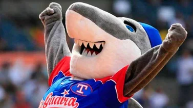 Tiburones consiguen victoria ante Caribes