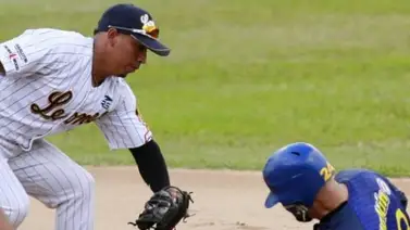 Leones divide con Magallanes en la capital Leones divide con Magallanes en la capital