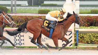 Diamond Oops sorprende en Gulfstream