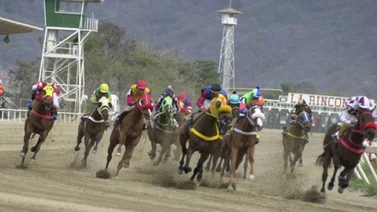 Reaparece el hipismo nacional