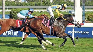 Island Commish rumbo a mejores lotes