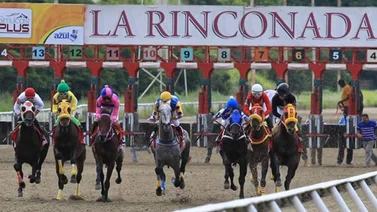 Resultados de las Carreras de la Rinconada 19-01-2020