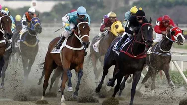 Premios de las carreras hípicas se pagarán en petros