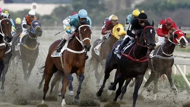 Resultados de las Carreras de la Rinconada 02-02-2020