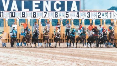 Resultados de las carreras  5 y 6 en Valencia 14-02-2020