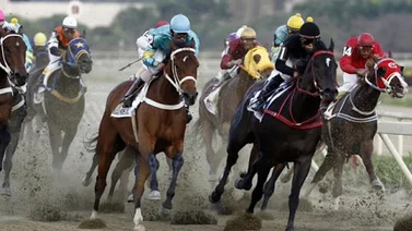 Suspendidas las carreras en el Hipódromo de Valencia y La Rinconada