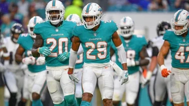 Los Dolphins de Miami convertirán su coliseo en autocine