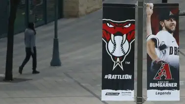 Diamondbacks despiden o ponen en licencia a 25% de personal Diamondbacks despiden o ponen en licencia a 25% de personal