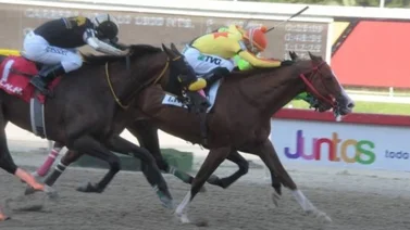 Resultados del domingo en el Hipódromo La Rinconada