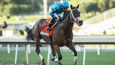 USA espera el regreso de un Campeón
