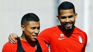 Los puestos europeos y la permanencia, en juego en el Nuevo Los Cármenes Los puestos europeos y la permanencia, en juego en el Nuevo Los Cármenes