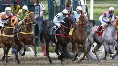 Resultados de este domingo 28 en La Rinconada