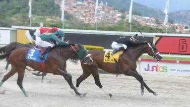 Hinava y La Rinconada alineados por el hipismo nacional