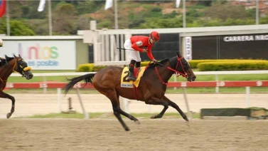 El 5y6 viene buchón este domingo