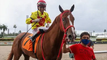 Enrique Torres logró su primer triunfo en Gulfstream Park