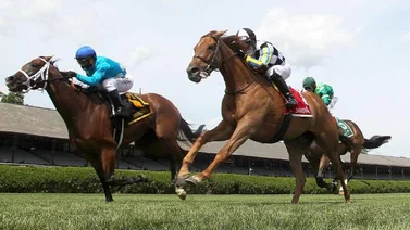 Javier Castellano conquistó otro Stakes con Starship Jubilee