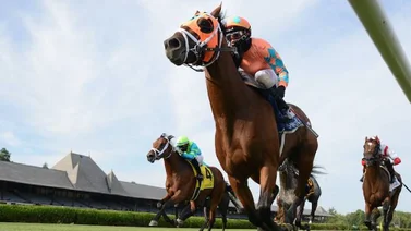 Somelikeithotbrown sorprende en el Bernard Baruch Handicap G2