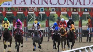 Confirman actividad hípica este domingo en La Rinconada