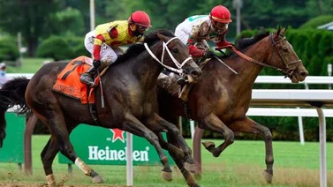 Ahora el Valiente Caracaro va por el Travers Stakes