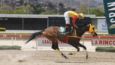 Hora de ganar con el Suplemento Hípico Meridiano