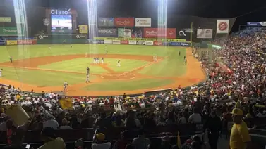 Pelota dominicana se plantea celebrarse con público Pelota dominicana se plantea celebrarse con público