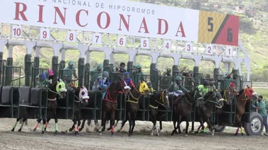 El INH le pone corazón a la Hípica Nacional